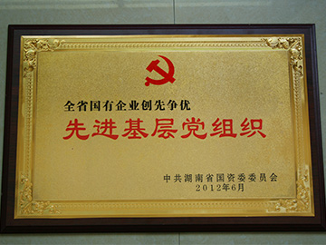 湖南国资委授牌